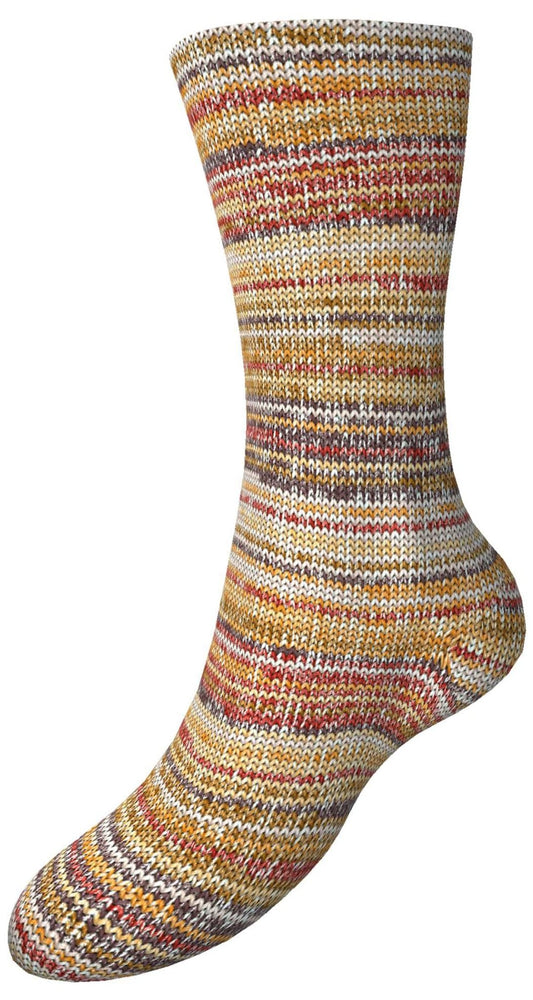 Fortissima 8 - fach bunte Sockenwolle 150g | Farbe 808 - HASELNUSS - Handarbeiten - 2