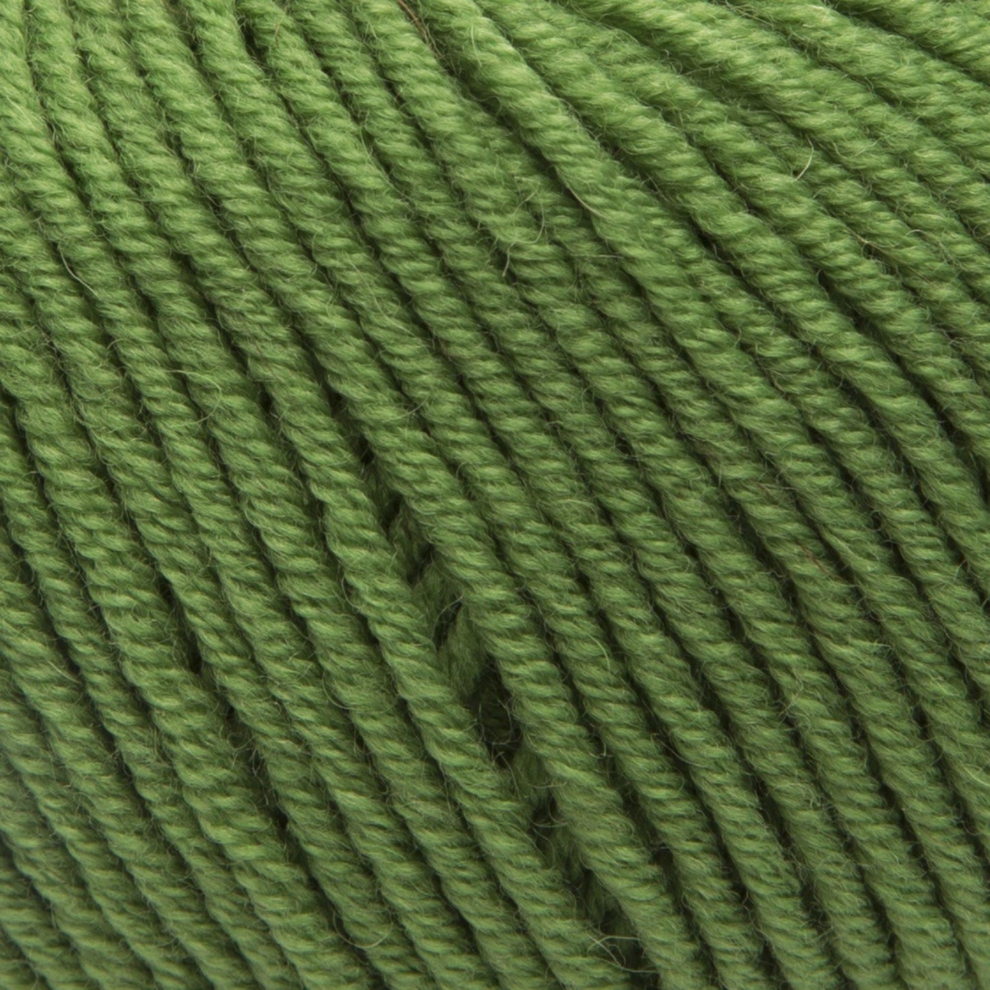 ggh Maxima Box | 300g Set (6x50g) – 043 – Green