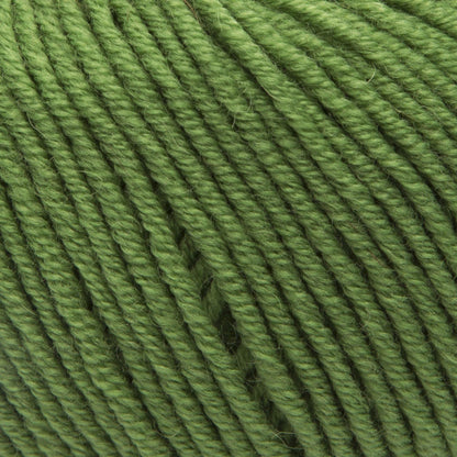 ggh Maxima Box | 300g Set (6x50g) – 043 – Green