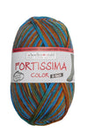Fortissima 8-fach bunte Sockenwolle 150g | Farbe 802 - SCHLEHE