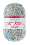 Fortissima bunte 4-fach Sockenwolle | Farbe 2483 - KIESEL