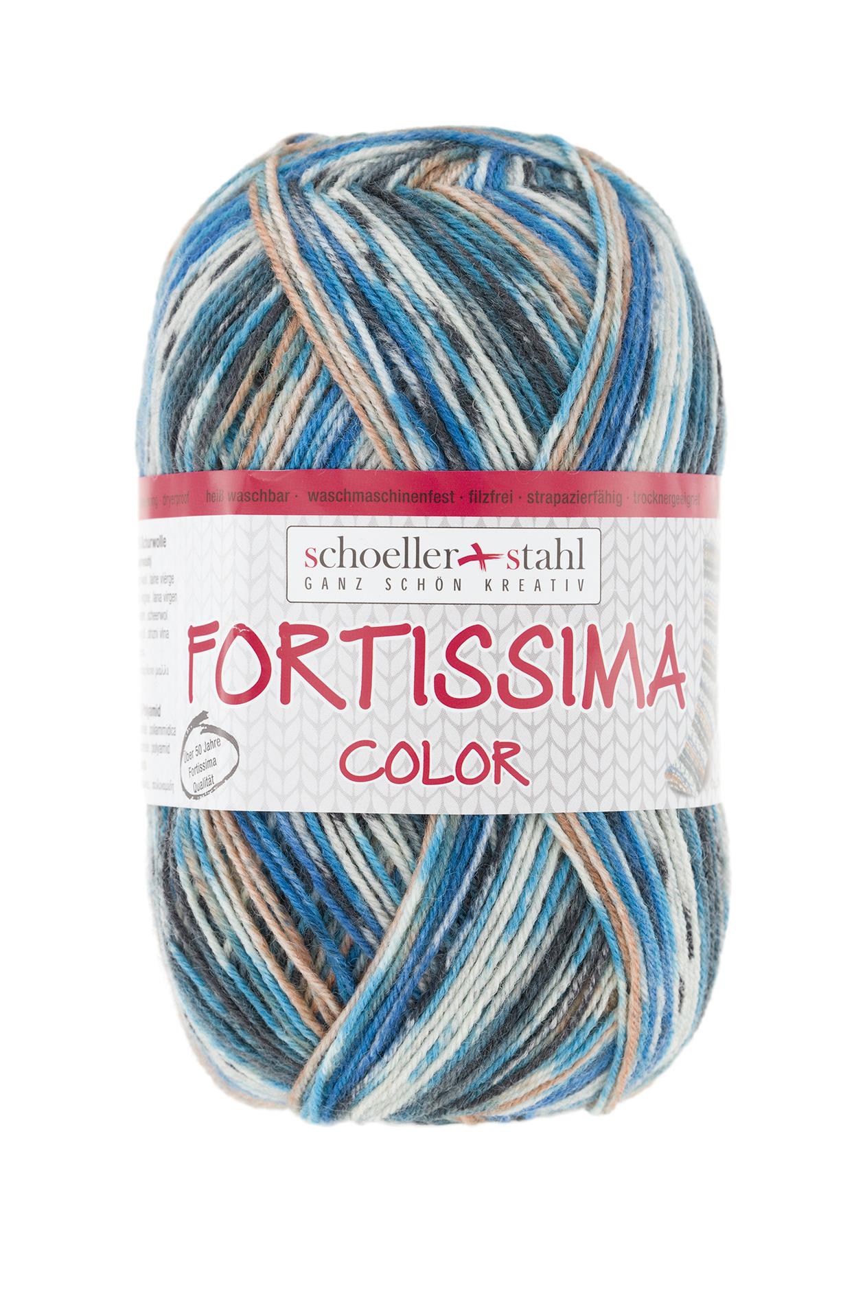 Fortissima bunte 4-fach Sockenwolle | Farbe 2490 - EICHELHAEHER
