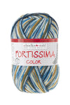 Fortissima bunte 4-fach Sockenwolle | Farbe 2491 - COUNTRY