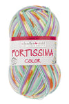 Fortissima bunte 4-fach Sockenwolle | Farbe 2493 - PASTELL