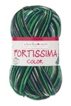 Fortissima bunte 4-fach Sockenwolle | Farbe 2495 - GRAS
