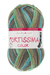 Fortissima bunte 4-fach Sockenwolle | Farbe 2499 - PFLAUME