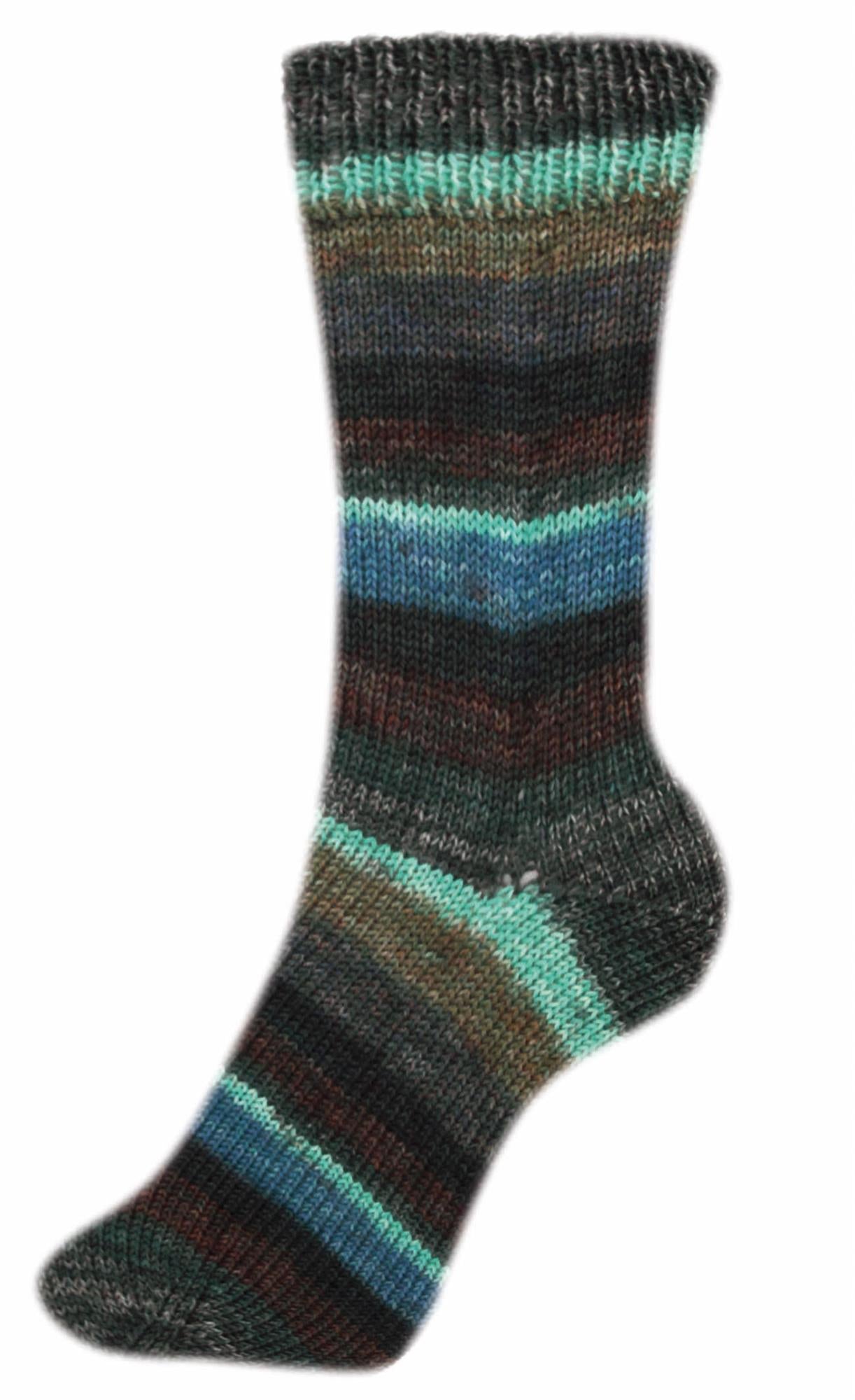 Fortissima bunte 4-fach Sockenwolle | Farbe 2499 - PFLAUME