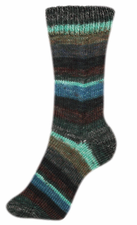 Fortissima bunte 4-fach Sockenwolle | Farbe 2499 - PFLAUME