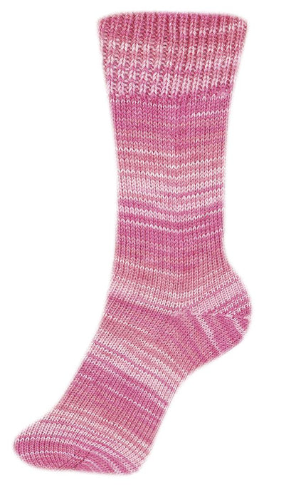 Step 4 Color Exp | 420M - 100G | 361 - Pink