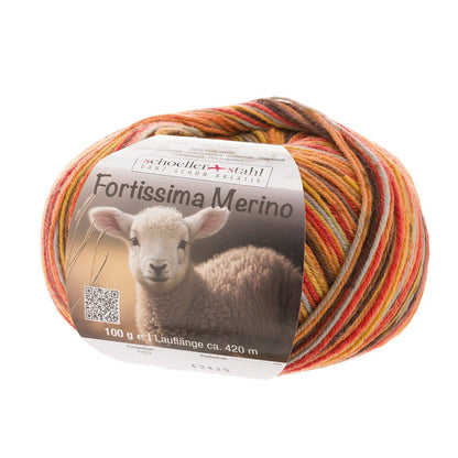 Fortissima 4 - fach Merino - Sockenwolle 100g | Farbe 102 - HERBST - Handarbeiten - 1