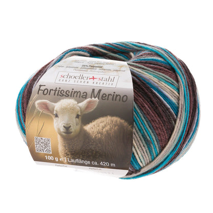 Fortissima 4 - fach Merino - Sockenwolle 100g | Farbe 108 - ISLAND - Handarbeiten - 1