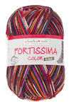 Fortissima 6 - fach bunte Sockenwolle 150g | Farbe 163 - BORDEAUX - BUNT - Handarbeiten - 1