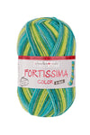 Fortissima 6 - fach bunte Sockenwolle 150g | Farbe 200 - LIBELLE - Handarbeiten - 1